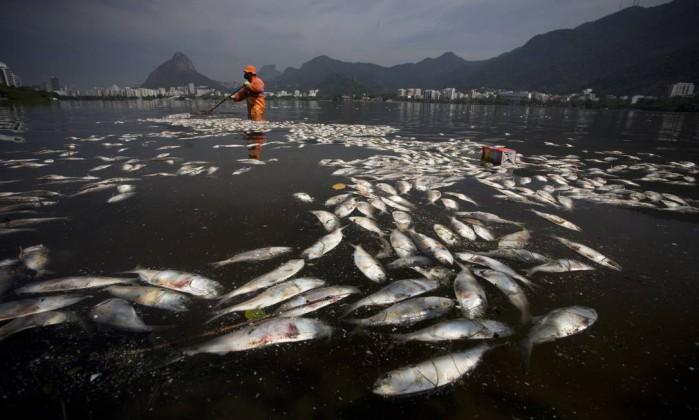 Olimpiadi Rio 2016, mistero pesci morti nel lago delle gare di canottaggio