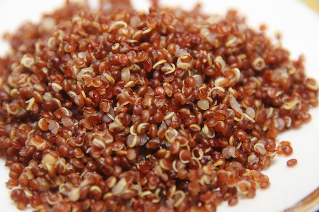 PghHealthHub's tweet photo. Want to get the protein you need without eating meat? Learn how here: http://t.co/0MIVoZBGi6 http://t.co/r6L330HtJU