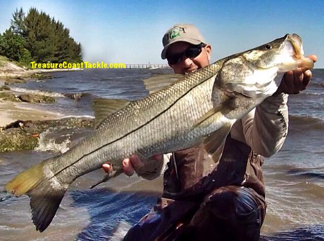 TCoastTackle's tweet photo. #tbt catching #studs in knee deep water #snook #fishing #windy #wading #gopro #fun #ripnslash
http://t.co/xcWJetMD9S http://t.co/4LNou8RPob