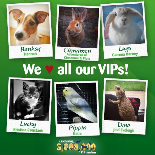 petsukofficial's tweet photo. The #VIPclub wouldn't be the same without our lovely VIPs! From Cinnamon the bunny, to Pippin the parrot #VIP3Million http://t.co/E0WaAyCNbL