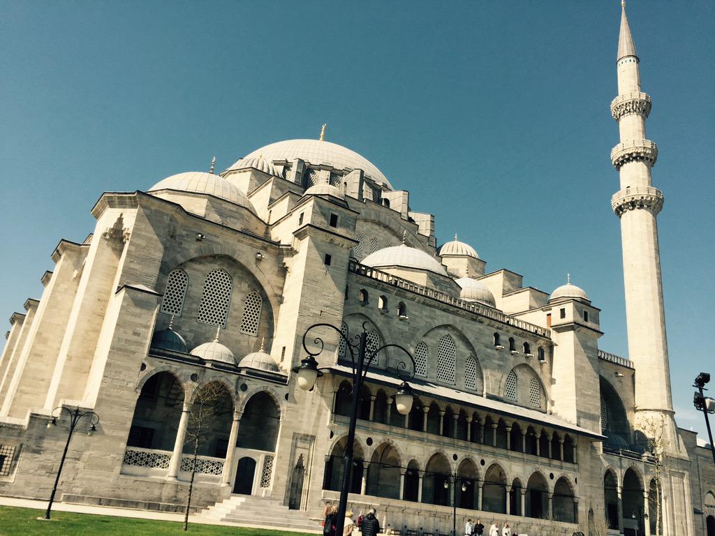 pitacrt's tweet image. 