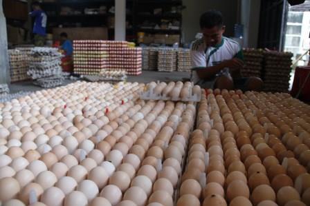 #KR 17/4  <a href="/KabCiamis/">Kabupaten Ciamis</a> DONGKRAK KONSUMSI NABATI, 8 RIBU BUTIR TELOR DIBAGIKAN GRATIS <a href="/IingSyamArifin/">Iing Syam Arifin</a> <a href="/bentangwaktu/">bentanGWaktu</a>