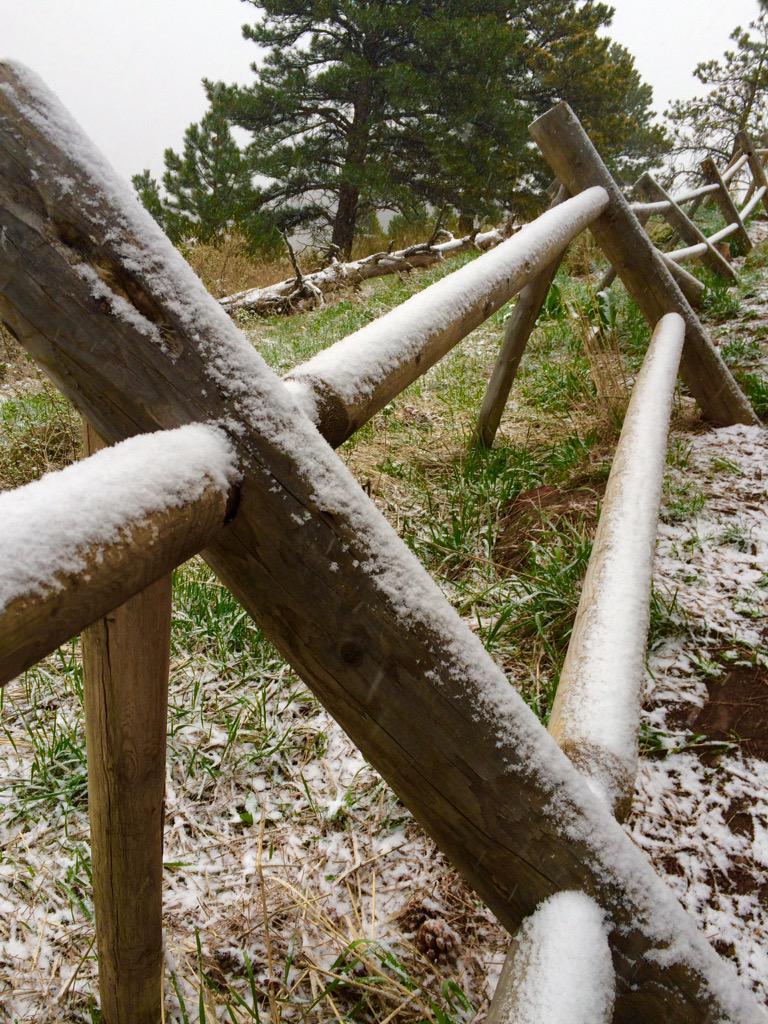 carey's tweet image. Flatirons, mountain hiking &amp;amp; sneak peeks of spring between the snowflakes #TwitterBoulder
