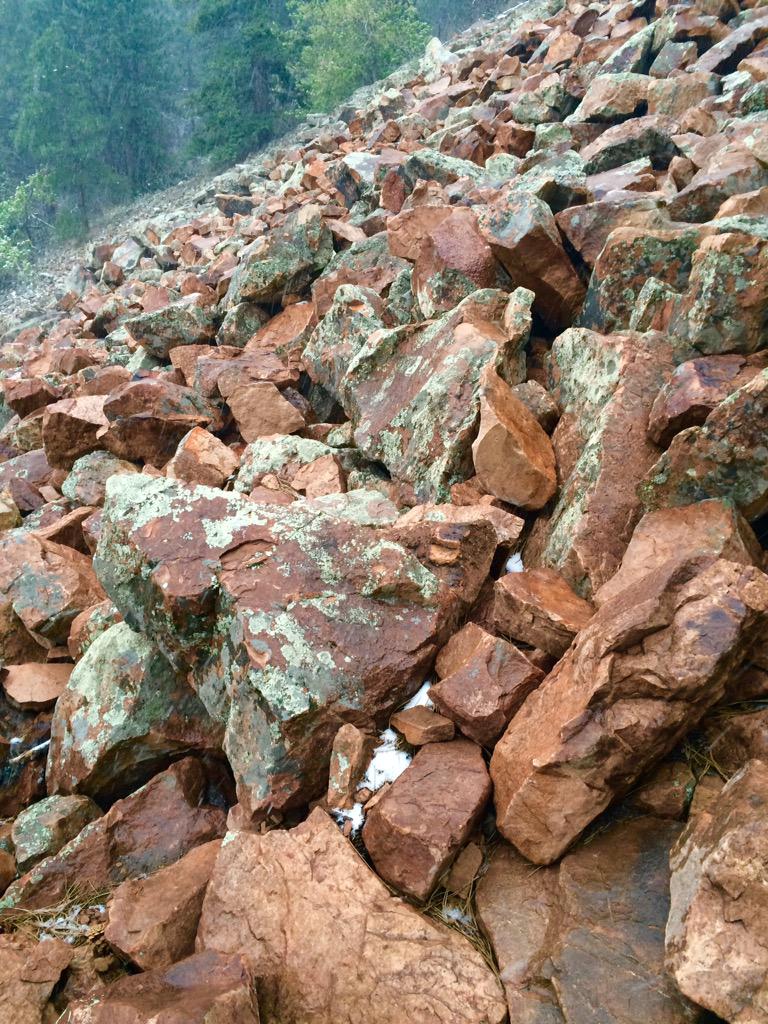 carey's tweet image. Flatirons, mountain hiking &amp;amp; sneak peeks of spring between the snowflakes #TwitterBoulder