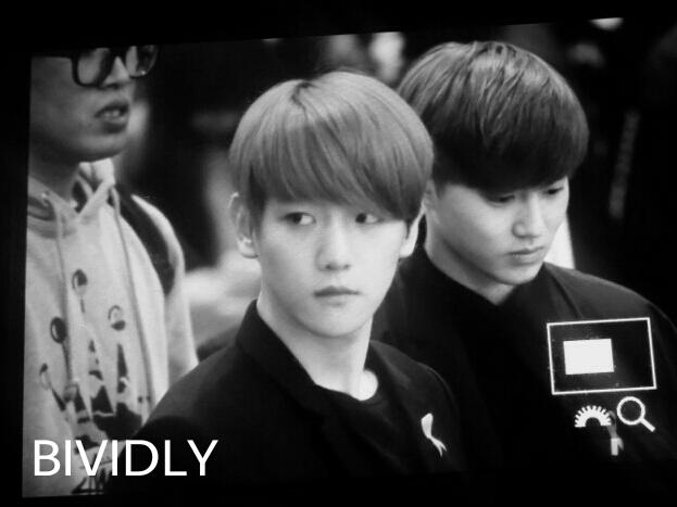 150416 김포공항 #백현 맘씨도 착한 배켜니