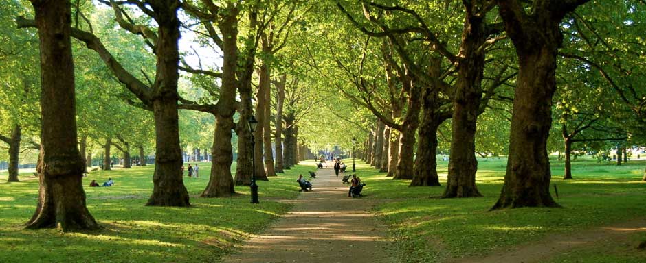 thenomadcinema's tweet photo. Walk with us to @theroyalparks for more cine-wonder at Hyde Park Lido, Bushy Park &amp; Brompton Cemetery. #Nomad2015 http://t.co/jSuWBzFept