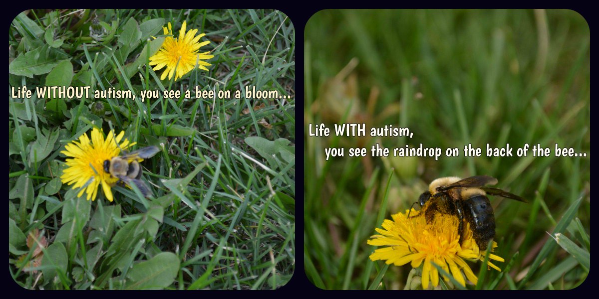 WriteousImages's tweet photo. #autism #AutismAwareness  #autismparent #autismacceptance #Nikon #phototherapy #writeousimages http://t.co/RLBLl1LknV