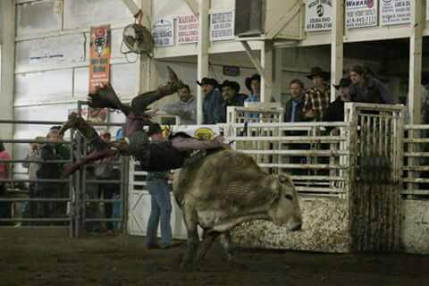 triplesrodeopho's tweet photo. Can't make 8 that way @Rodeo_Wrecks @Bullridingprobs #HangUpThursday http://t.co/GSphFvsyxV