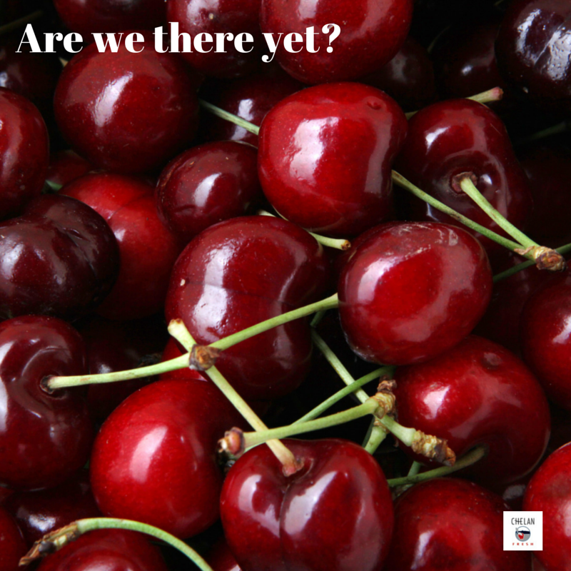 ChelanFresh's tweet photo. Yeah, we feel like that too.. CAN'T WAIT FOR CHERRIES!!! #chelanfresh #wmtfresh  http://t.co/kBzOLM9SCi http://t.co/7PExd5E6Iv