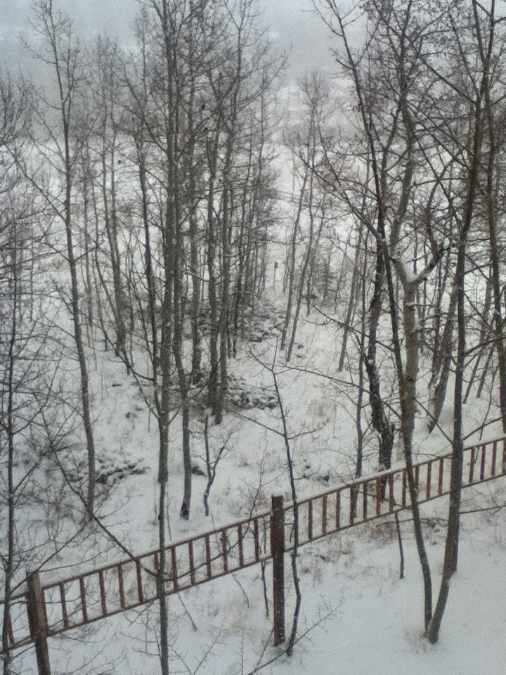 Lex_Albrecht's tweet image. Very snowy up here in the mountains. Looking forward to riding inside at @FasCat in #Boulder today. #alwaysasolution