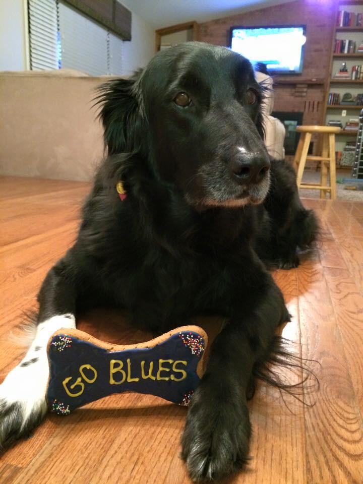 jsanderskfvs's tweet image. Let's go Blues!!! #OurTeam #StanleyCupPlayoffs