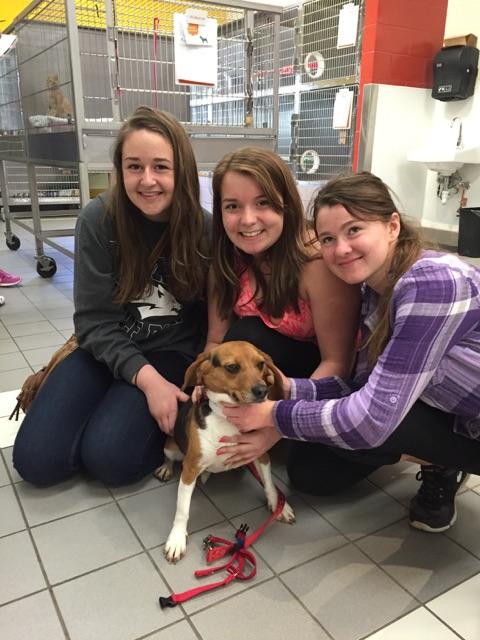 AndHSKeyClub's tweet photo. Successful blanket drop off... and met some cute friends as well 😊🐶💕 http://t.co/aXG3UMfcKb