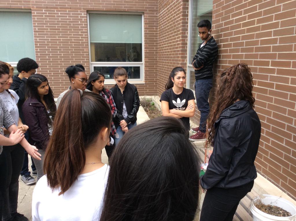 DSSS_Visual_Art tweet media