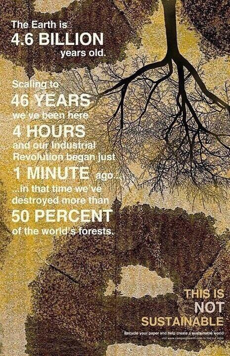 idiotsdoingshit's tweet photo. This is not sustainable! http://t.co/Ir9M1xLnER