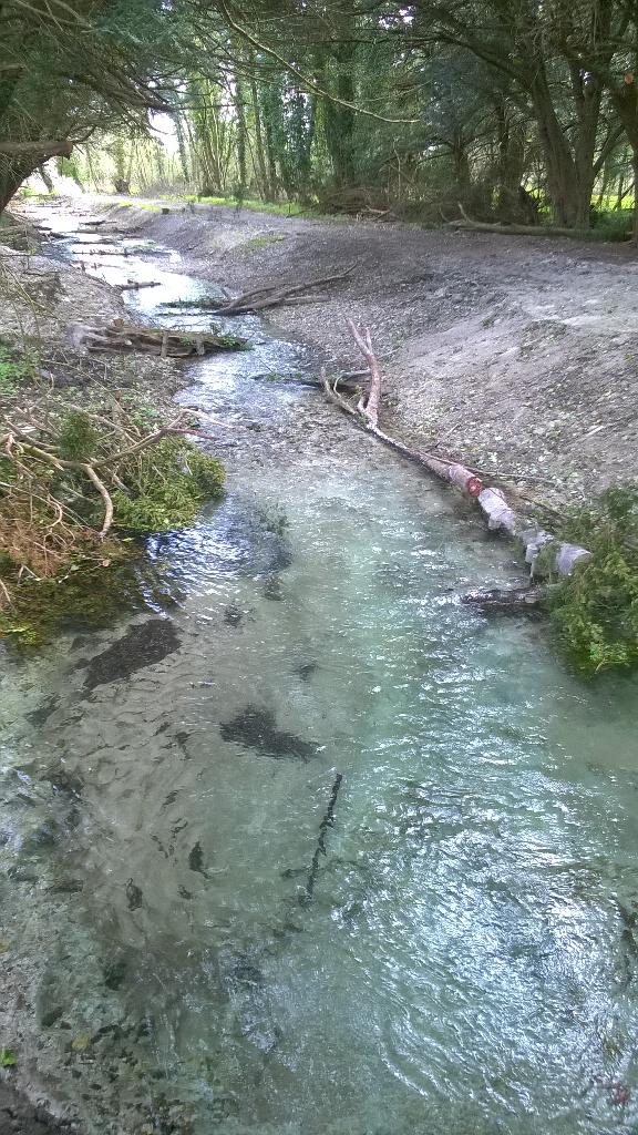 Great day out today seeing Babingley, Heacham and Ingol rivers with <a href="/N_Rivers_Trust/">Norfolk Rivers Trust</a> (pictured Babingley)