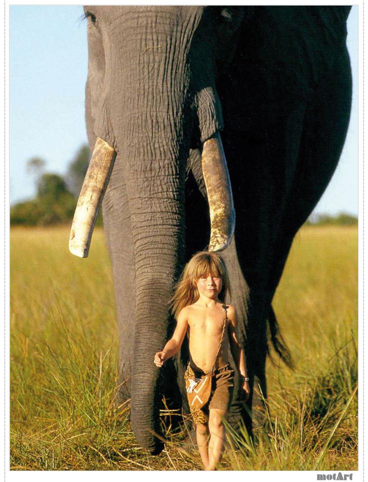 写真集野生のティッピTipp動物と育った少女 写真集野生のティッピTipp