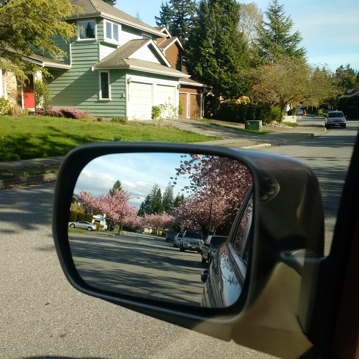VictoriaAlcuaz's tweet photo. #vancouverspringrocks http://t.co/OYs9Zdhpzs