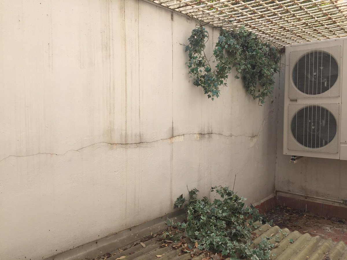 bossviDeco tweet media