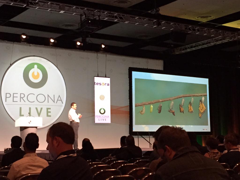 Percona's tweet image. Last keynote for #perconalive - @amrithkumar on building DB&apos;s for the &quot;as-a-service&quot; world #MySQL #OpenStackLive