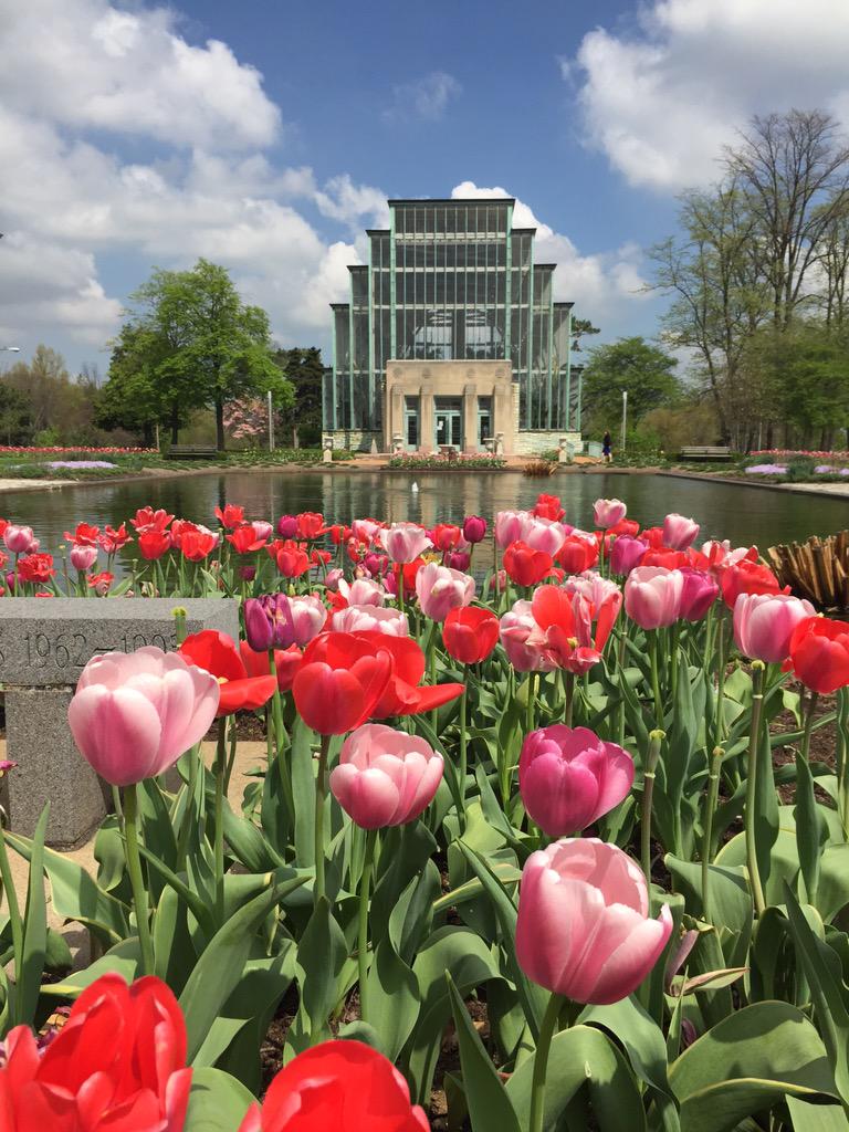BOMAstl's tweet photo. We're here at @ForestPark4Ever enjoying the beautiful scenery at The Jewel Box #BOMAstl #CRE http://t.co/And8YJ9geI