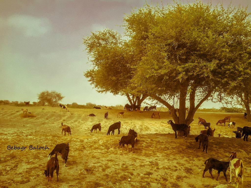 Nigowar shareef #Balochistan