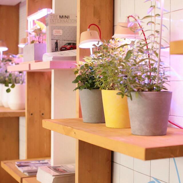 bulbolight's tweet photo. Proud to contribute to @MINI URBAN PERSPECTIVES 2015! #minidesignweek #ewt #fratelliandco #psglitterjungle #saloned… http://t.co/Z9QU3486ib