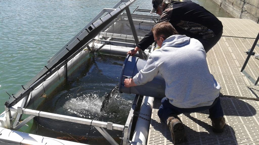 Silver Junkies tweet media