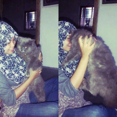 chie_mozhamozhi's tweet photo. Morning momo (っ˘з(˘⌣˘ ) http://t.co/T1vcfmX3kV