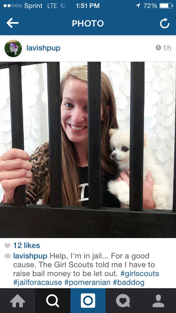 Lavish_You's tweet photo. Paris is in jail?! Stop by Lavish today to help get her out! #pom #LavishLove http://t.co/JBSSwdA5xG