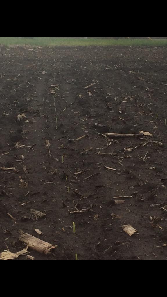 Andrew Roth tweet media