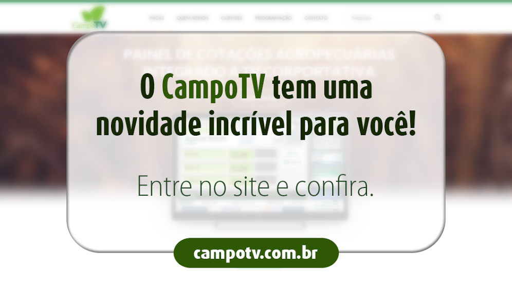 CampoTV tweet media