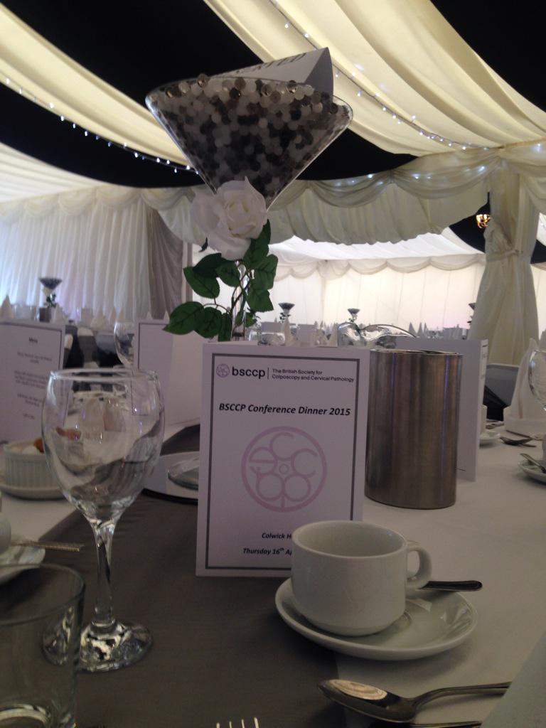 BSCCPConference's tweet photo. Beautiful evening for the BSCCP conference dinner tonight! @BSCCPConference @TheBSCCP @ColwickHall #BSCCP2015 http://t.co/LSbRLwv8Ix