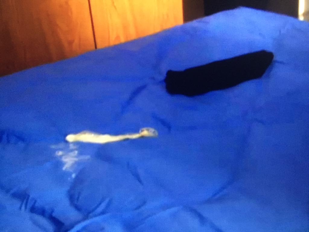 "Shift that condom and give Mandy Maguire her knickers back." 😂 #Shameless