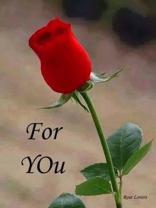 إليكم ......😊