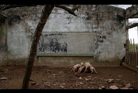 MilenioMty's tweet photo. 'La vorágine': relatos de Colombia convertidos en arte http://t.co/9pWO19NfoW http://t.co/OO7KKr1KOD