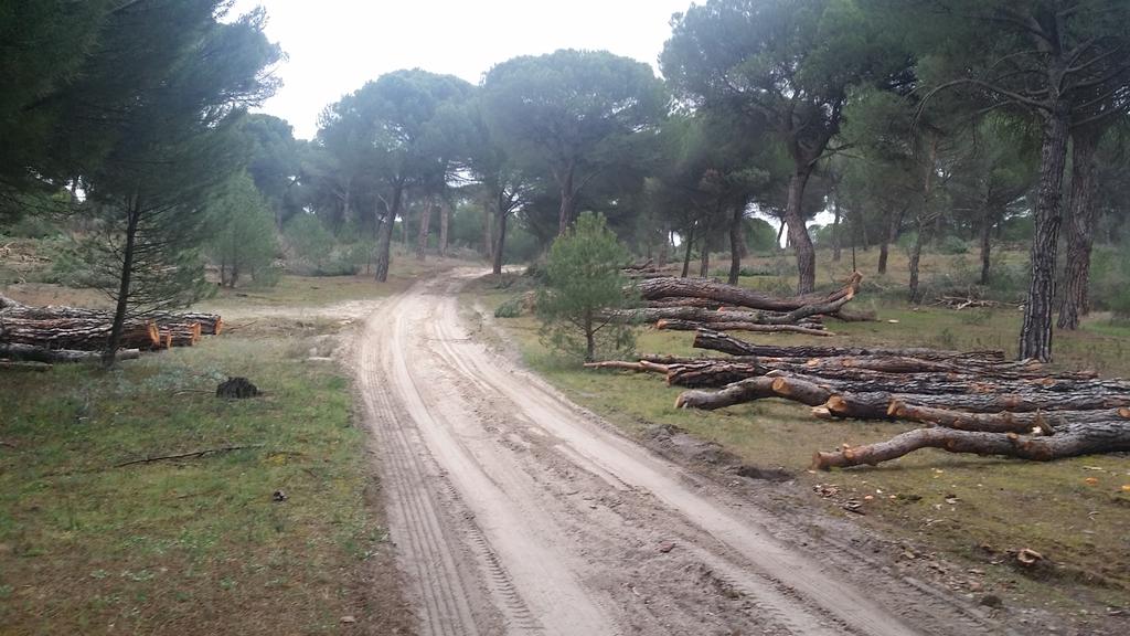 vecinosherrera's tweet photo. Pinares: a favor de la explotación ecosostenible de los recursos y que las contraprestaciones reviertan en el pueblo http://t.co/KIDonHgOIB