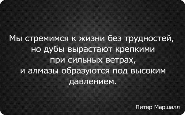 Juliy Vasnetsova tweet media