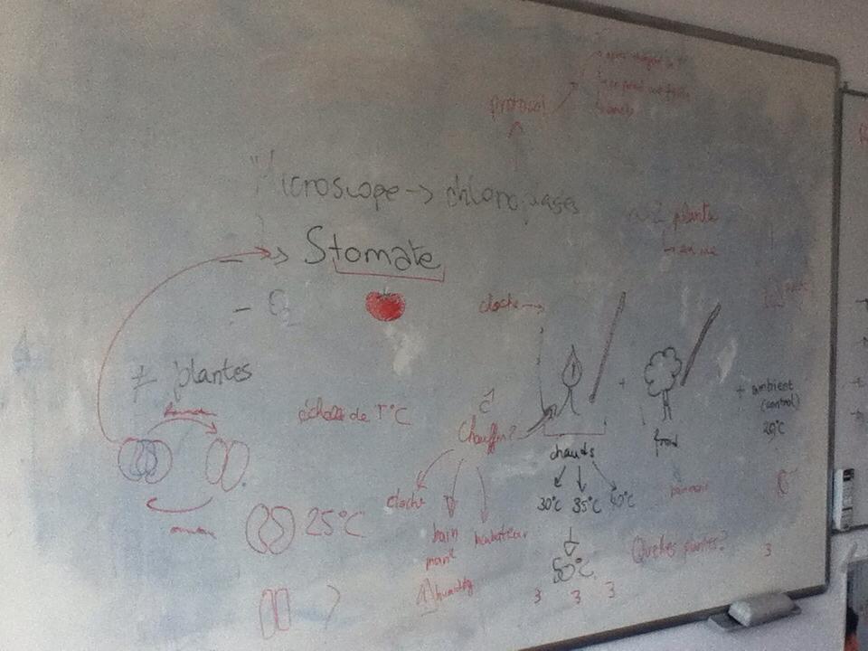 Brainstorming sur le projet de demain: observer la fermeture des stomates...  #ThermalWars