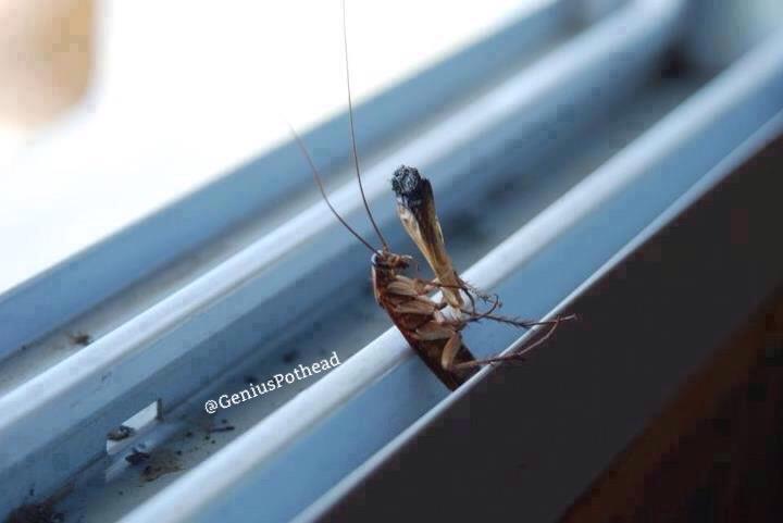 Комикс про катер. Плот твист что это. Плот твист что это. Plot twist. How to write a plot twist.