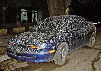Nigel Farage is going to be Pissed when he gets outside and sees what I've done to his car.