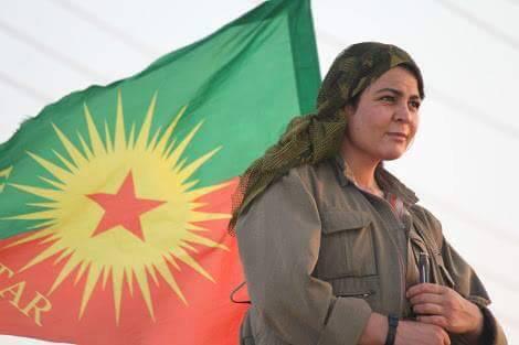 Курд алей. PKK курды. Рабочая партия Курдистана. Рабочая партия Курдистана Лидер. Коммунистическая партия Курдистана.
