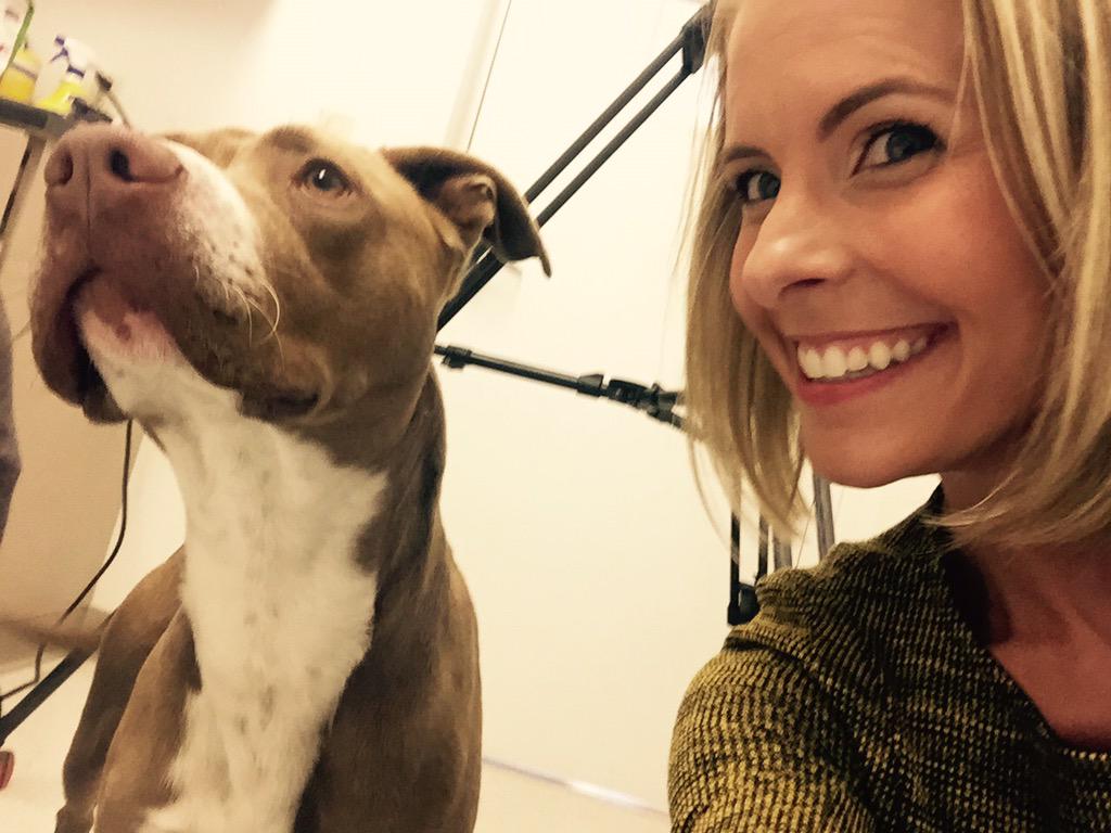 Ashley Kewish on Twitter "Happy to report Diesel was adopted after our