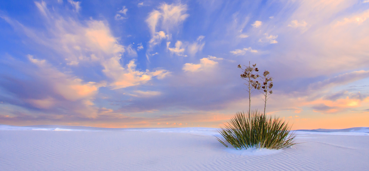 emotionalmojo's tweet photo. All National Parks Are Free This Weekend! http://t.co/qFJyxFYtxt! http://t.co/X8E1uHtJYu