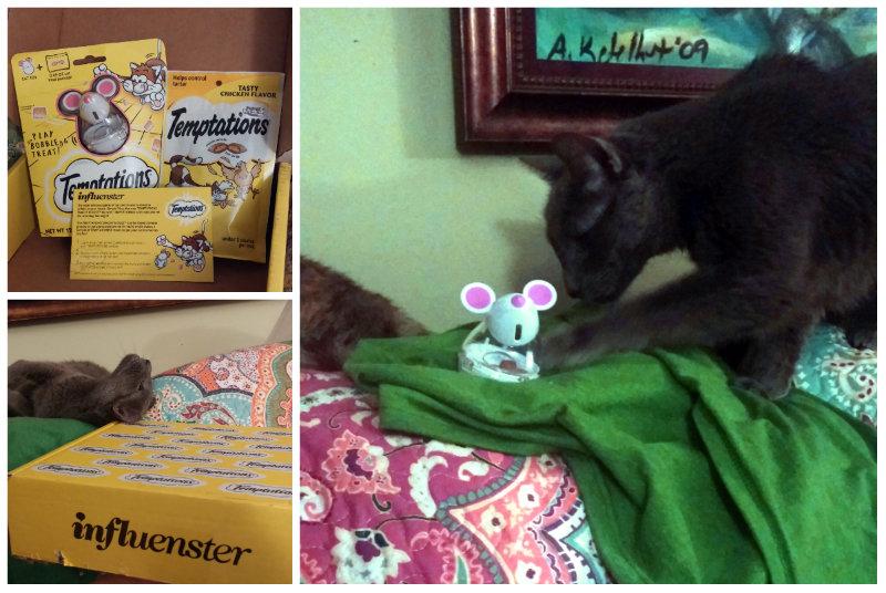 herdingcats2012's tweet image. The Herd was pretty stoked about their #CatVsMouse box from @InfluensterVox!  herdingcats-burningsoup.com/2015/04/influe… #GotItFree