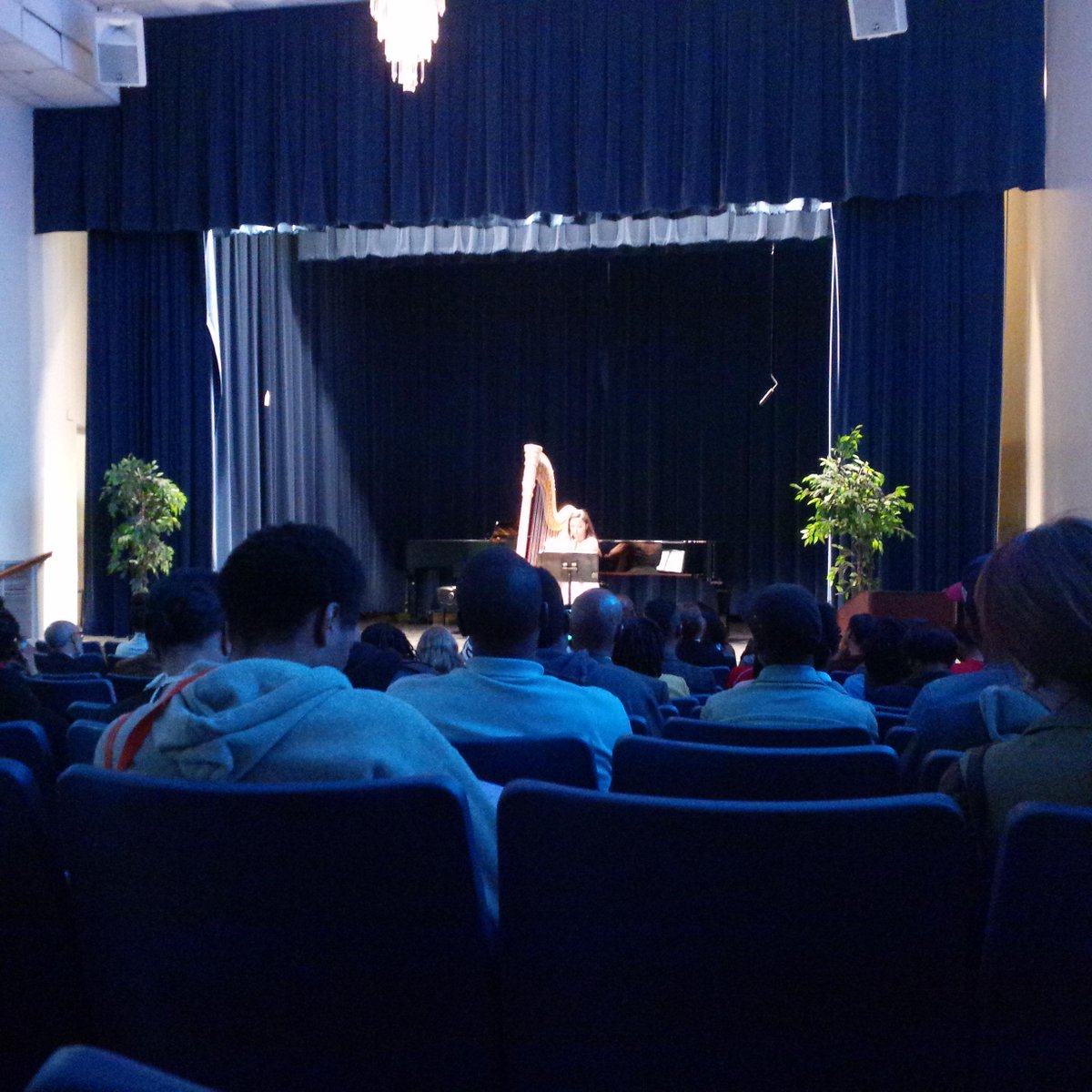 senorpj01's tweet photo. @harp_andsoul ¡Estoy bien orgulloso de ti Señorita Mallory! ¡Felicitaciones y gracias por tu música! http://t.co/viwpriYaKw