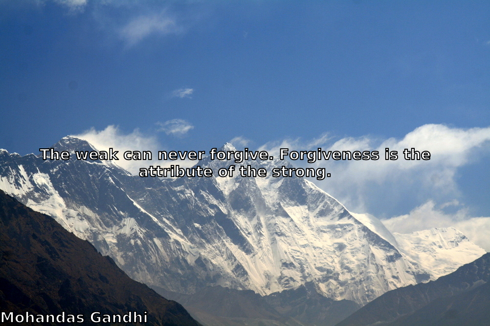 PhilProley's tweet image. 