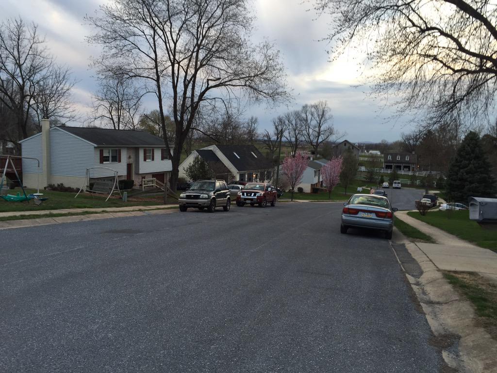 MatthewBellis82's tweet image. We've got the prettiest trees on our street! #NewHome #FirstSpring