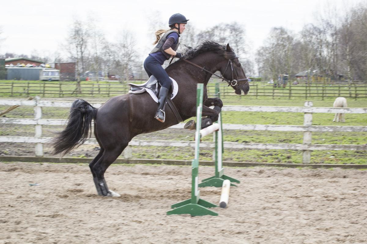 TMH_PhotoVideo's tweet image. A little hop from Paddy!