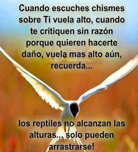 Imagen relacionada