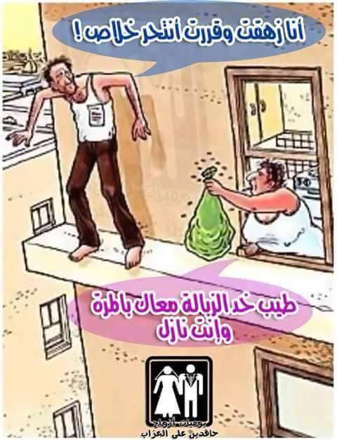 sayed85328 tweet picture